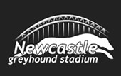 Newcastle_greyhound