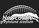 Newcastle_greyhound